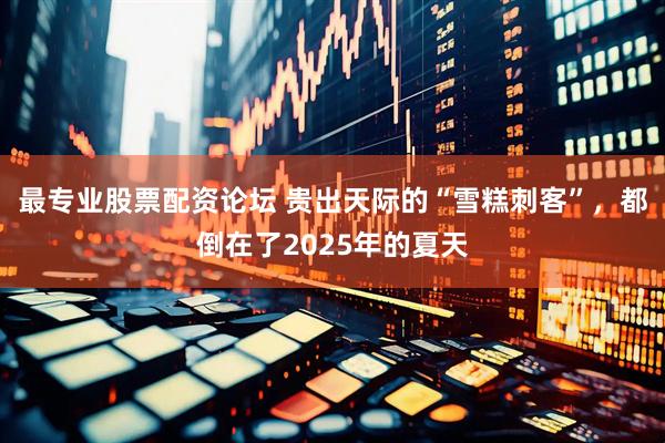 最专业股票配资论坛 贵出天际的“雪糕刺客”，都倒在了2025年的夏天