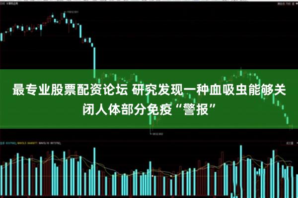最专业股票配资论坛 研究发现一种血吸虫能够关闭人体部分免疫“警报”